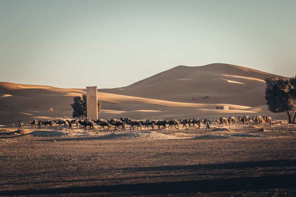 Runmageddon Sahara