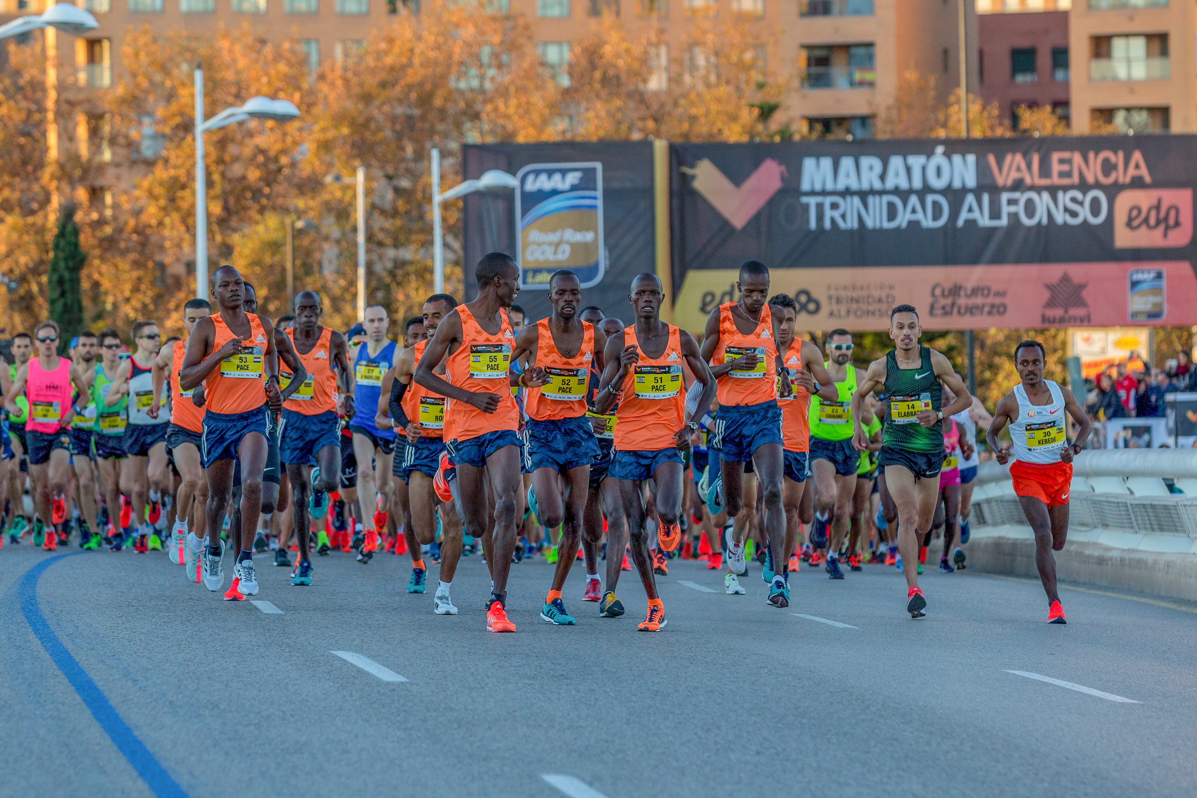 Maraton w Walencji przedstawił elitę. Wraca rekordzistka trasy