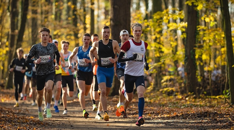 CITY TRAIL z wyrównanym rekordem wszech czasów. Mocne przetarcie przed mistrzostwami Polski