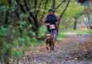 Cztery łapy, dwie nogi, jedna meta. Warsaw Dog Run coraz bliżej